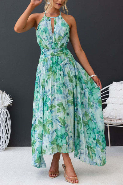 Zandra Chiffon Maxi Dress