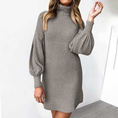 Zia Turtleneck Sweater Dress