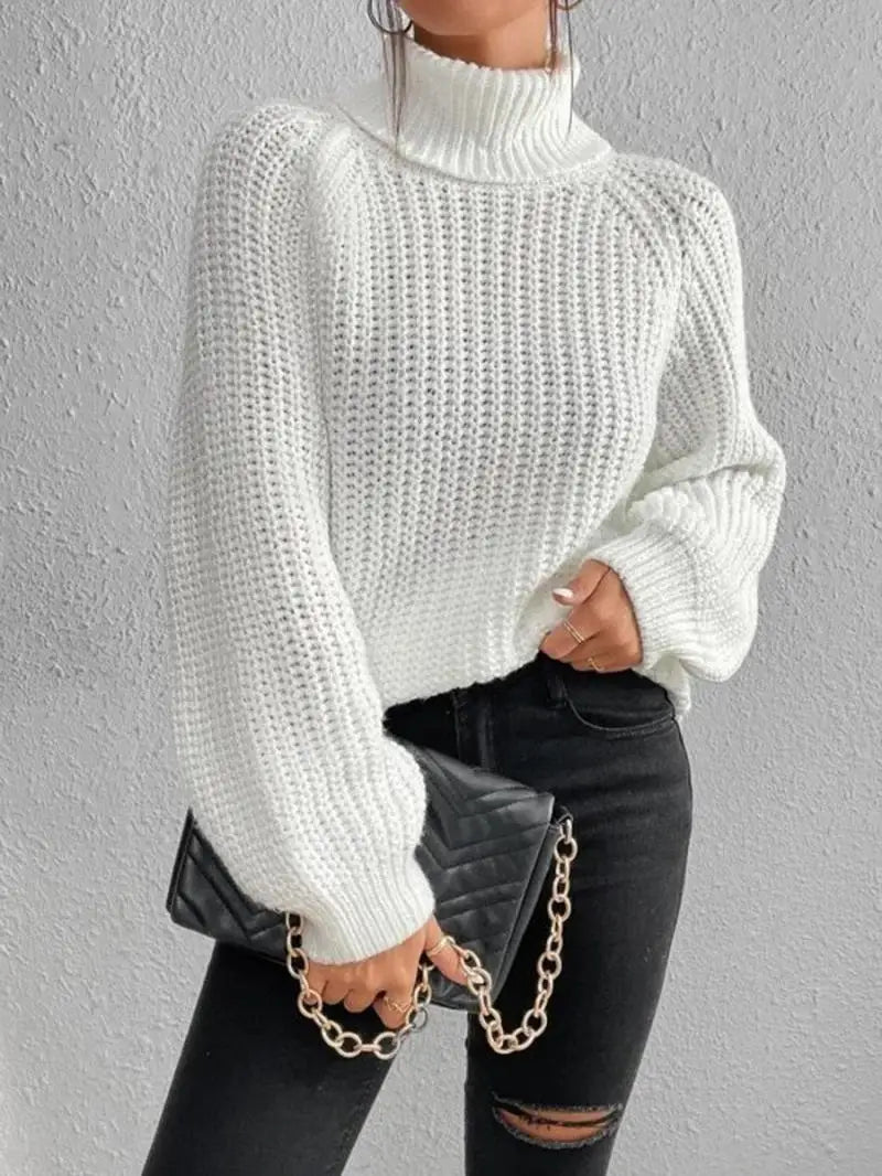 Lily Oversized Turtleneck Sweater