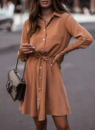 Kate Long Sleeve Polo Dress