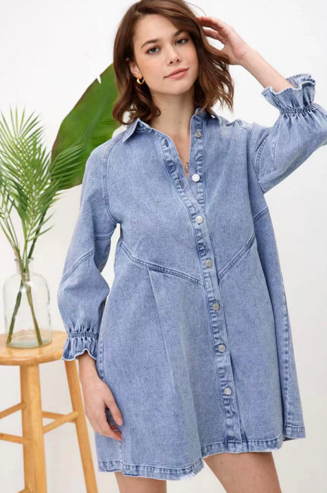 Ruth Denim Dress