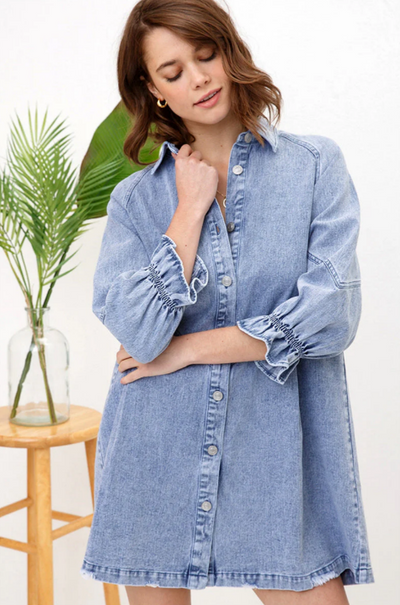 Ruth Denim Dress