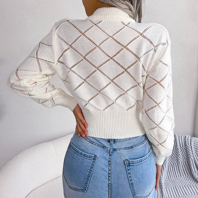 Lucy Hollow Crop Sweater