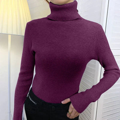 Helen Knitted Turtleneck Sweater